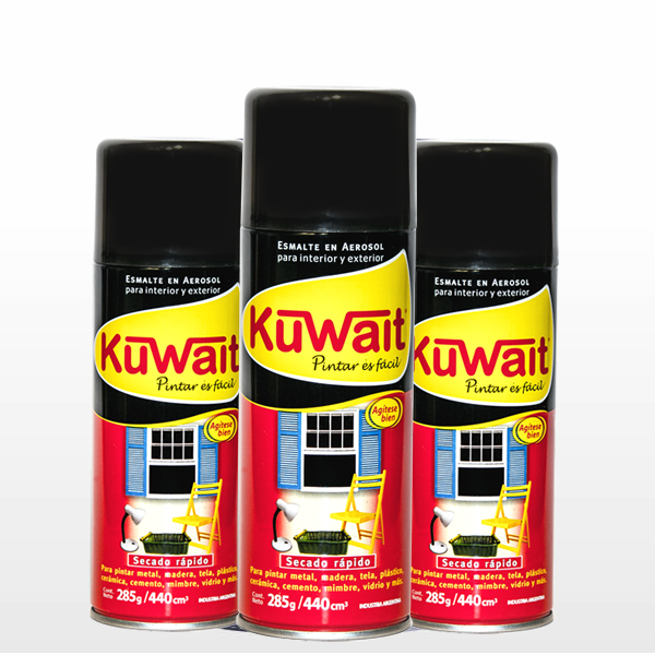 AEROSOL X 240 CC